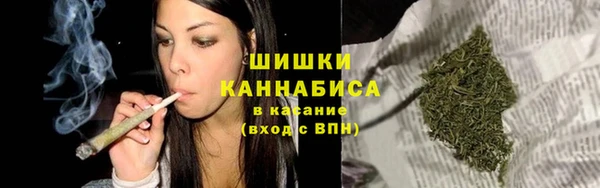 молекула духа Богородск