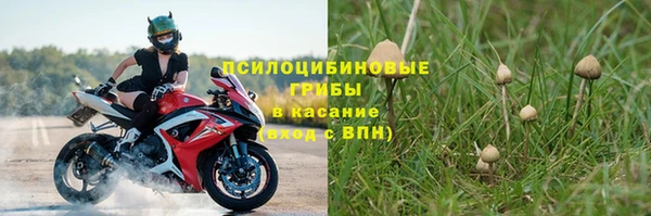 трава Богданович